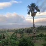 Ammodares ليكسوري