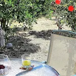 شقة Ammodares