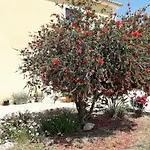 شقة Ammodares ليكسوري