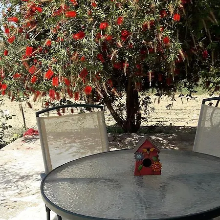 Apartman Ammodares Lixúri