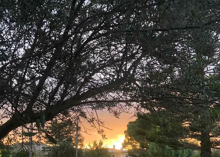 Apartament Ammodares *