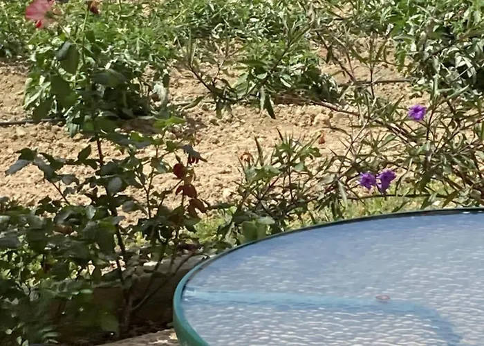 Ammodares Апартаменты