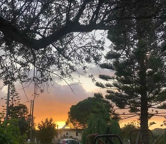 Ammodares Ликсури