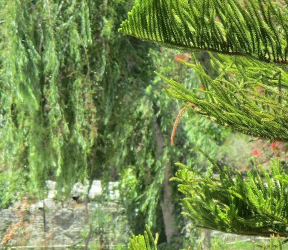 Ammodares Апартаменты