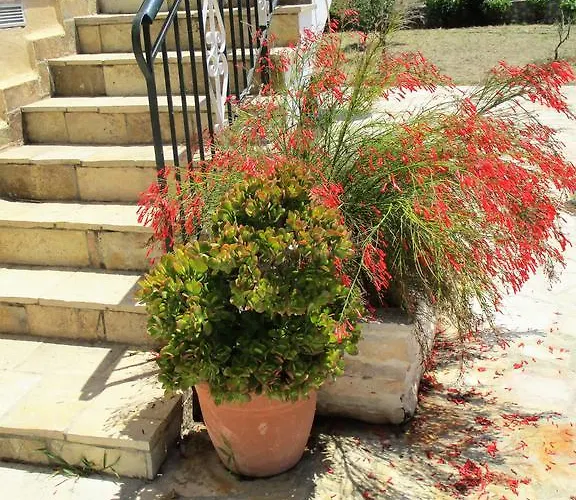 Ammodares Apartament Lixouri