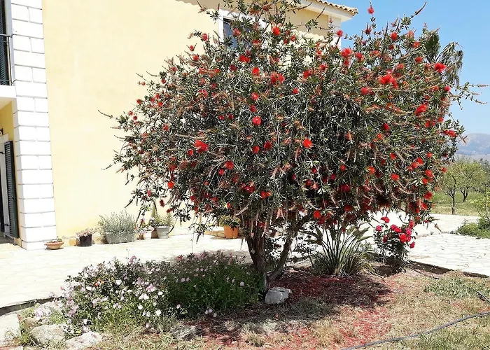 Apartament Ammodares Lixouri