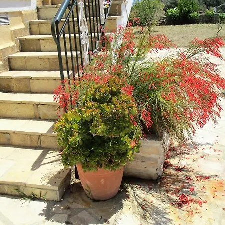 Ammodares Apartament Lixouri
